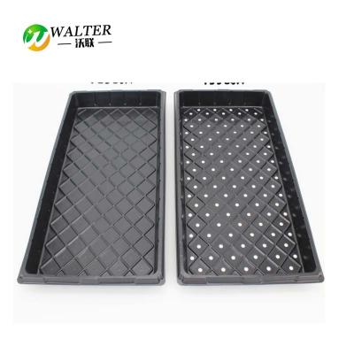 China Eco-friendly Factory Supply China Flat Plastic Seed Tray for sale