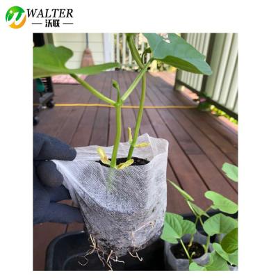 China Biodegradable Nursery Bag For Root Control Bags DIY Biodegradable Garden for sale