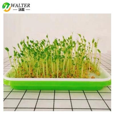 China PP Seed Tray BPA Free Bean Sprout Grower Germination Kit Sprouter for sale