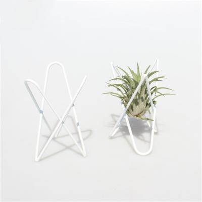 China Modern hot selling tillandsia pineapple stuff rack metal home decorative simple wire triangle table stand for sale