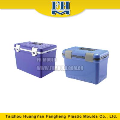 China Household Custom Plastic Ice Box / Restaurant / Hotel Injection Cooler Box Mold Maker for sale