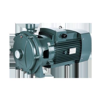 China Hot Sale 1hp-4HP Two Series Water Park GRANDFAR 2CPm Impeller Type Water Centrifugal Pumps Stainless Steel Shaft Centrifugal Pump for sale