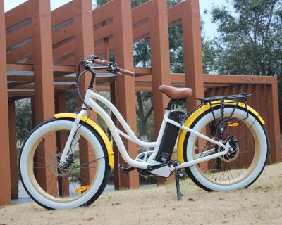 China OEM Beach 48V 750W Electric Bike Fat Tire Fashiop High Performance Electric Bicycle Mountain e Bike Electric Bike Electric Bicycle for sale