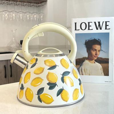 China Fashion Viable Colorful Pink Decorative Tea Boiler Pattern Fruit Flower Tool Kitchen Whistling Kettle for sale