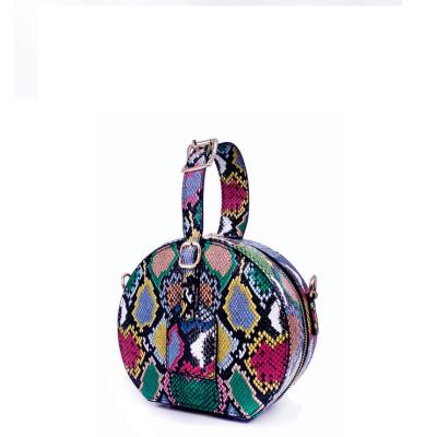 China 100% New Hot Unique Eco-friendly Snake Printing PVC Female Cross - Body Bag Women 2021 Fashionable Color Ins Smart Bags Ladies for sale