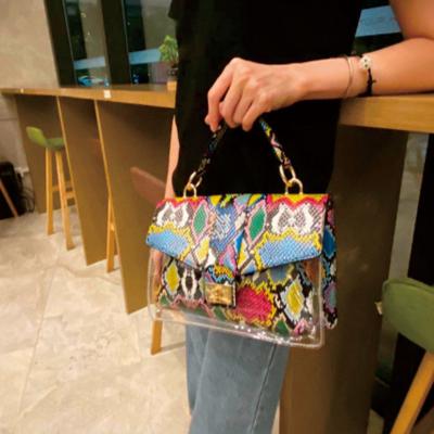 China 100% Eco-friendly Pattern Cross - Body Bags For Women 2020 Luxury Handbags Women Bags Designer Snake Print PVC Bags Lady Metal Chain for sale