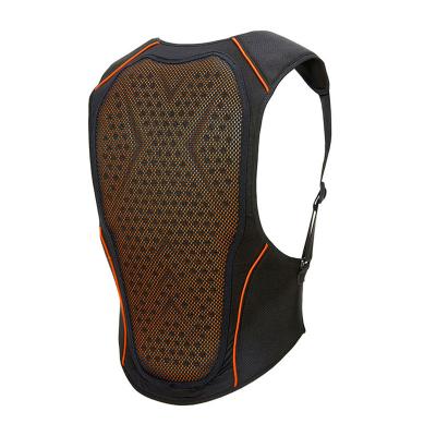 China For Winter Sports Like Motorcycle Back Pad Level 1 Ski Pad Back Ski Sale Back Support for sale