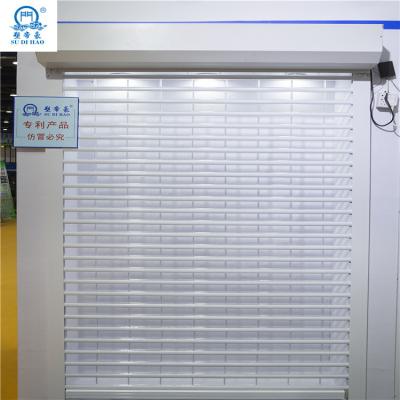 China Modern factory selling hot sale price entry style roller balcony safty door for sale