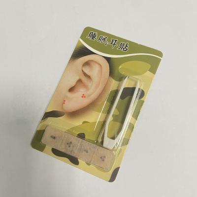 China Eco-Friendly Multifunctional Ear Press Sows Therapeutic Seed Of Vaccaria Ear Patches For Pressure Points Pack for sale