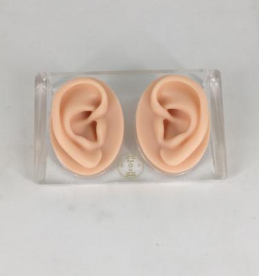 China High quality double ear silicone multifunctional medical ear acupuncture model teaching and practicing model emulation medical model for sale