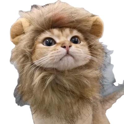 China Cute Funny Viable Pet Halloween Christmas Clothes Costume With Ears Lion Mane Wig Cat Dog Hat for sale