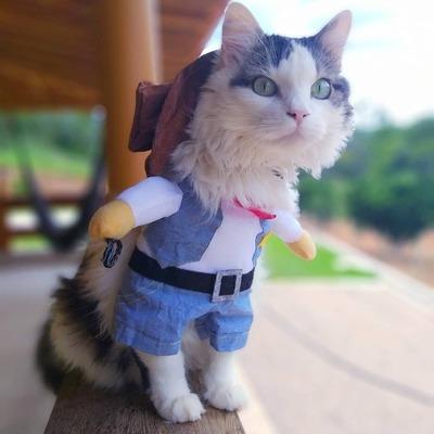 China Professional Cowboy Cat Halloween Christmas Dress Up Viable Costume Dog Wear Design for sale