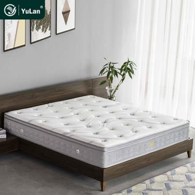 China China Supplier Good Quality Foldable 10 Year Warranty King Size 9 Zone Pocket Foam Mattress for sale