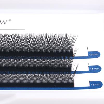 China YY New Model Natural Soft Eyelash Extensions False Mink Private Label Eyelash Extension Products Different for sale