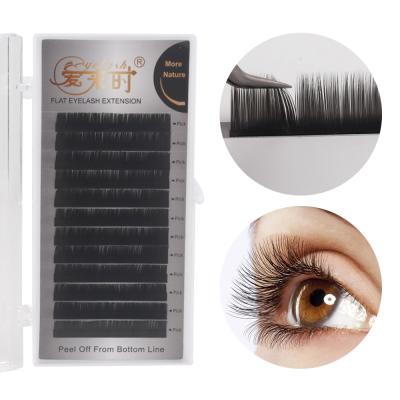 China Natural Soft Single Flat Ellipse Flat Eyelash Extension 0.20mm Flat Eyelash Extensions With Private Label for sale