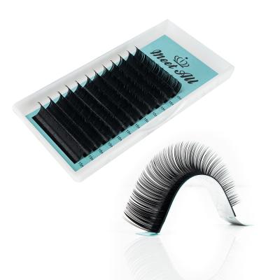 China Natural Soft Easy Fanning Silk Eyelash Extensions Different Eyelash Extensions With Eyelash Packaging for sale