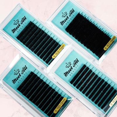 China Different Factory Price Natural Soft Private Label Lashes Tray 0.05-0.25mm Matte Black Siberian Silk Eyelash Extensions for sale