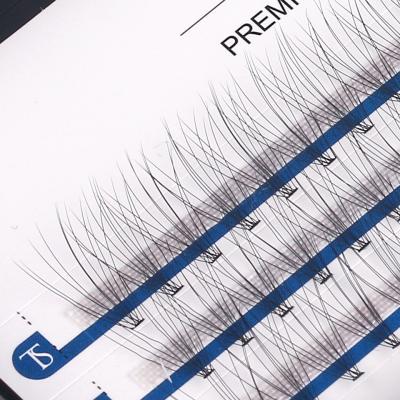 China Natural Soft Create Your Own Brand Eye Lash Premade 10D Silk Eyelash Extensions Eyelash Maker for sale