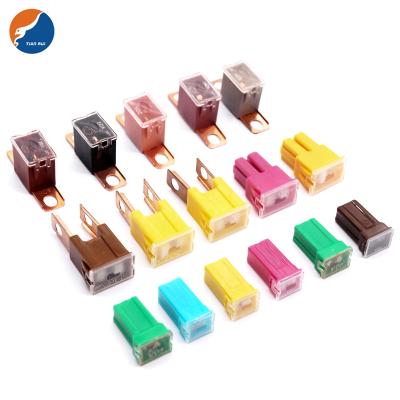 China Different Amp Automobile Classes Low Profile Jcase Auto Automotive Fuse for sale