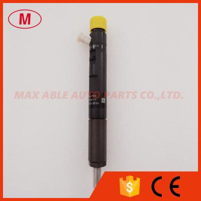 China EJBR05301D Delphi common rail injector for Yuchai engine for sale