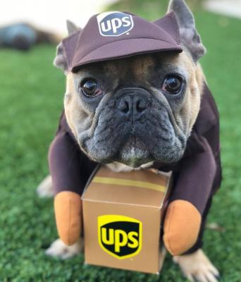 Китай Role-playing pet costumes, UPS courier series, comfortable to wear, with personality продается