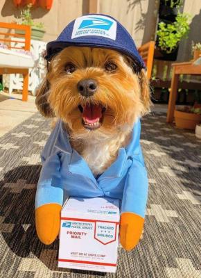 China Role-playing pet costumes, UPS courier series, comfortable to wear, with personality for sale