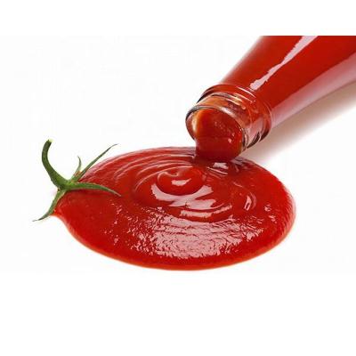 China Cooking Tianchu Fresh Double Concentrate Tomato Ketchup ODM and OEM Squeeze Tomato Sauce for Ketchup for sale