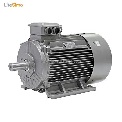 China High Efficiency Totally Enclosed Water Motor Hub Motor 355kw YE2-3551-2 for sale