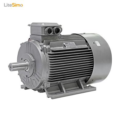 China Totally Enclosed Made China YE2 Series Three Phase Motor Electric Motor 5.5kw for sale