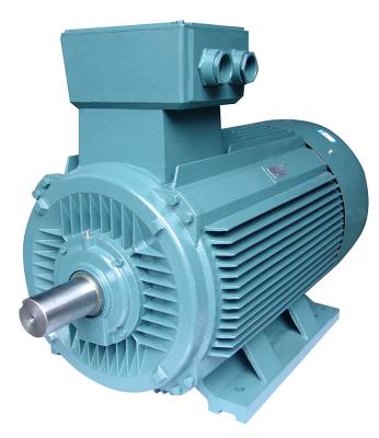 China Totally Enclosed Reliable Manufacturer 6.6kv Water Pump High Voltage Electric Motor for sale