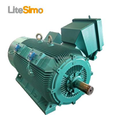 China Fully Enclosed IEC Standard 315kw 6.6kv 6.3kv Induction Motor High Voltage Explosion Proof Motor for sale