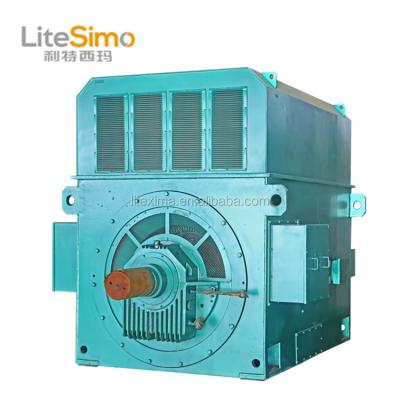 China Popular 6kv 1000kw Totally Enclosed Vertical Induction Slip Ring High Voltage Motor for sale