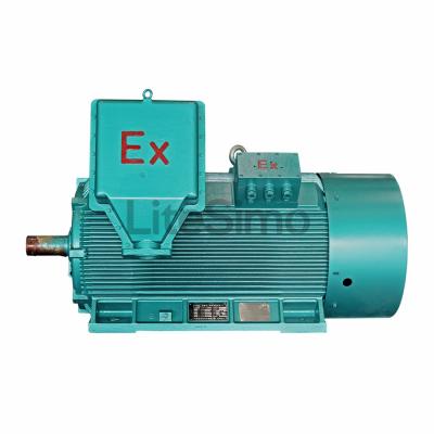 China Explosion Proof Industrial Ex Mining Machine 1000kw 11kv Proof Motor for sale