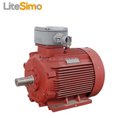 China Explosion Proof Made In China 250kw Flame Proof Electric Motor For Coal Mine for sale