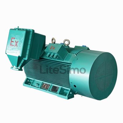 China 6kv 560kw CT3 CT4 Explosion Proof High Voltage Explosion Proof Electric Motor for sale