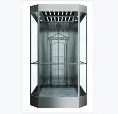 China China hairline s.steel guided passenger lift FUJIZY modern glass panoramic elevator modern style for sale