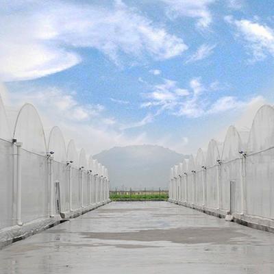 China Cheap agriculture vegetables plastic sheet tarpaulin tunnel multi-span hydroponic planting greenhouse for sale for sale