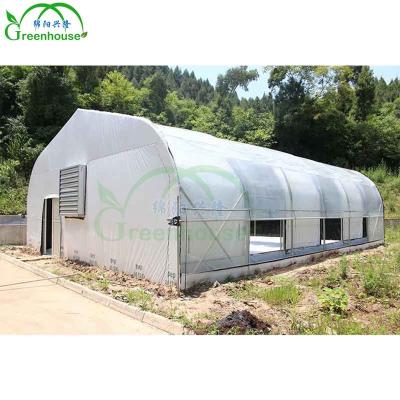 China Agriculture Sale Blackout Greenhouse Single-span Hydroponic Planting Greenhouse With Grow Light For Vegetable for sale