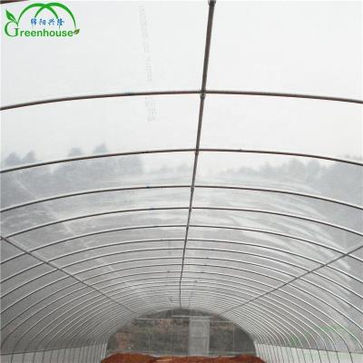 China Stable Structure Plastic Film Solar Greenhouse for sale