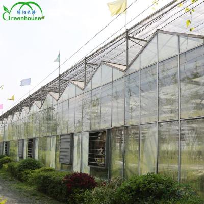 China Anti-aging agricultural greenhouse Morocco for sale