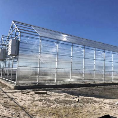 China Smart PC Sheet Thermal Insulation Systems Frame Polycarbonate Material Hydroponic Greenhouse for sale