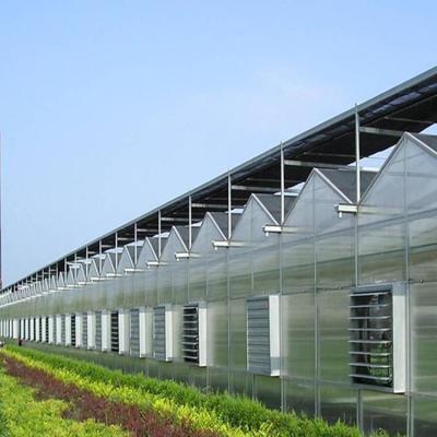 China Agriculture Planting Manufacturer Pc Sheet Multispan Ventilation Fertigation System Polycarbonate Hydroponic Greenhouse for sale