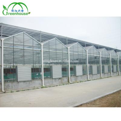 China Venlo Dutch Style Beautiful Used Glass Greenhouse With Movable Roof For Sale for sale