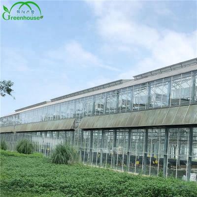 China MYXL New Anti Aging Design Large Size Fiberglass Greenhouse Covering Greenhouse Evaporative Cooling Pad Commercial Glass Greenhouses for sale