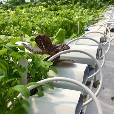 China Eco Friendly Commercial Indoor Vertical Farming System Greenhouse For Sale for sale