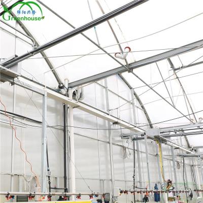 China Eco Friendly Low Cost Used Glass Greenhouse Frames Invernadero Greenhouse for sale