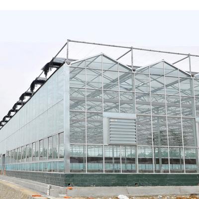 China Vegetable Shade Netting Aquaponic Solar Glass Greenhouse For Sale for sale