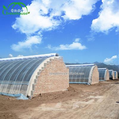 China Excellent Insulation The Cheapest Excellent Insulation Commercial Solar Greenhouse With Insulation For Winter / Cold Area for sale