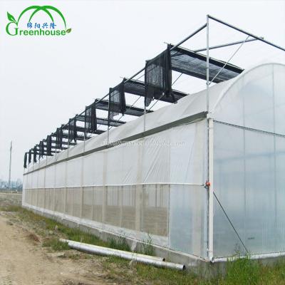 China MYXL Eco Friendly And Anti UV Greenhouse Outside Shading System And Inside Shading System for sale