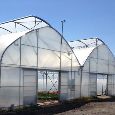 China MYXL eco-friendly and good quality cheap plastic greenhouse for sale for sale